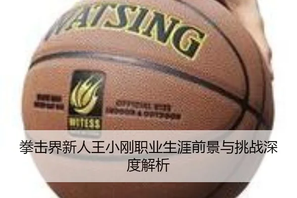 拳击界新人王小刚职业生涯前景与挑战深度解析